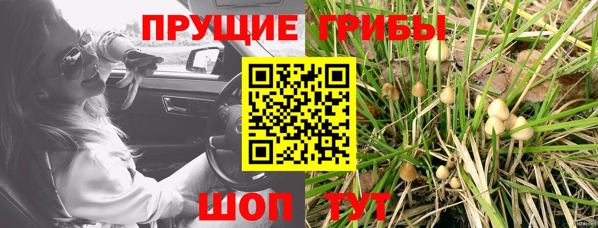 Кирово-Чепецк  где можно купить   Вход с VPN  Псилоцибиновые грибы MAGIC MUSHROOMS 
